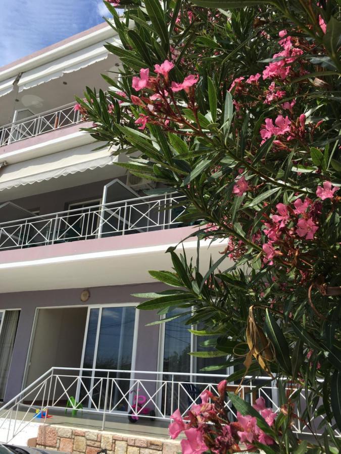 Irini Boutique Rooms!!! Himarë Eksteriør billede